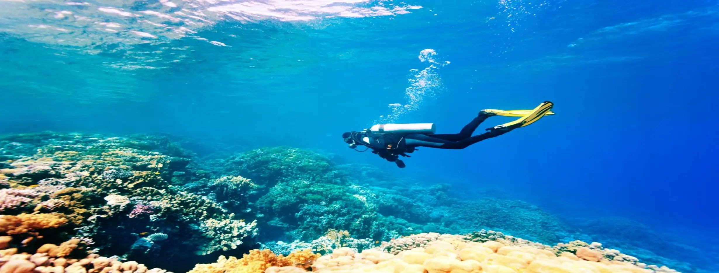 Image for Scuba Diving